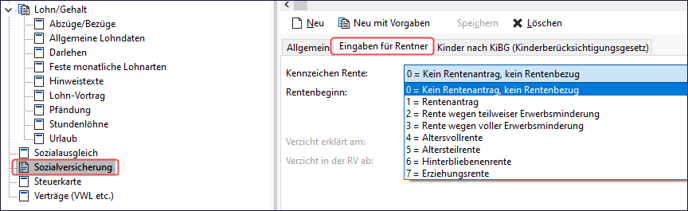 Screenshot: Eingaben für Rentner in der Sozialversicherung
