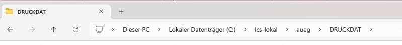 Windows-Explorer mit eingefügtem Pfad in der Adressleiste